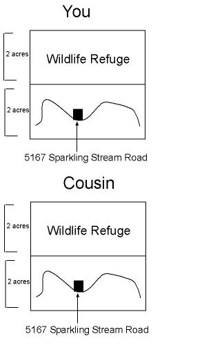 Virtual 4 Acre ranches of you and your cousin